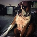 Stella Vaughan - @Stella_vaughan - Twitter