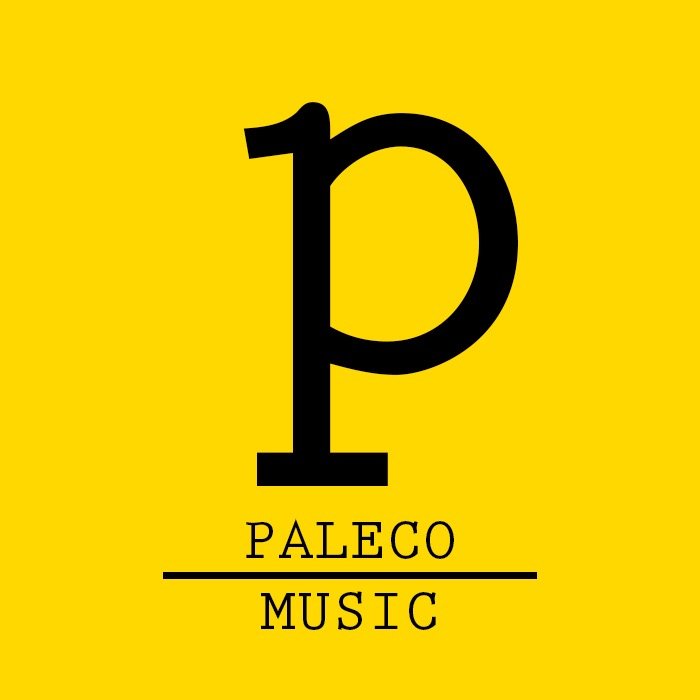 Paleco Music - Industy Advice, Music Reviews, Latest News and Everything Inbetween #SupporingtNewMusic