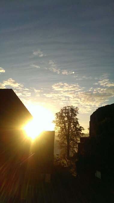 MartinaMoosmann's profile picture. 