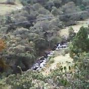 aspazcol's profile picture. amigo de Dios, la libertad, el ajedrez y la  politiizaciòn de la ciudadanìa