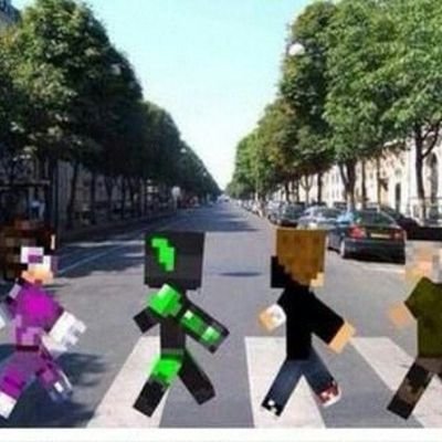 chaval seguidor de vegetta777 y de willyrex