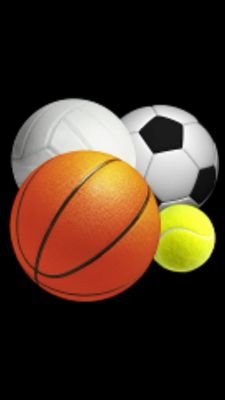 Baloncesto infantil. 
Fútbol Sala benjamín, infantil y cadete Masc. 
Voleibol infantil y cadete femenino. 
Voleibol cadete y juvenil masculino.