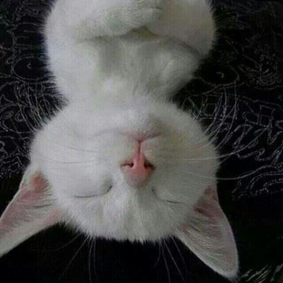 lee_hilton's profile picture. Meh - I'll think of summat soon