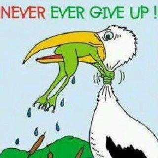 Never Give Up