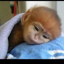 Minnie Harrison - @MiMiMouse24 - Twitter