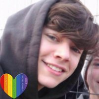 (◍˃ᵕॢ˂ॢ◍)(✿◠‿◠) (@1directionteam5) 's Twitter Profile