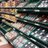 TescoBillingham's profile image