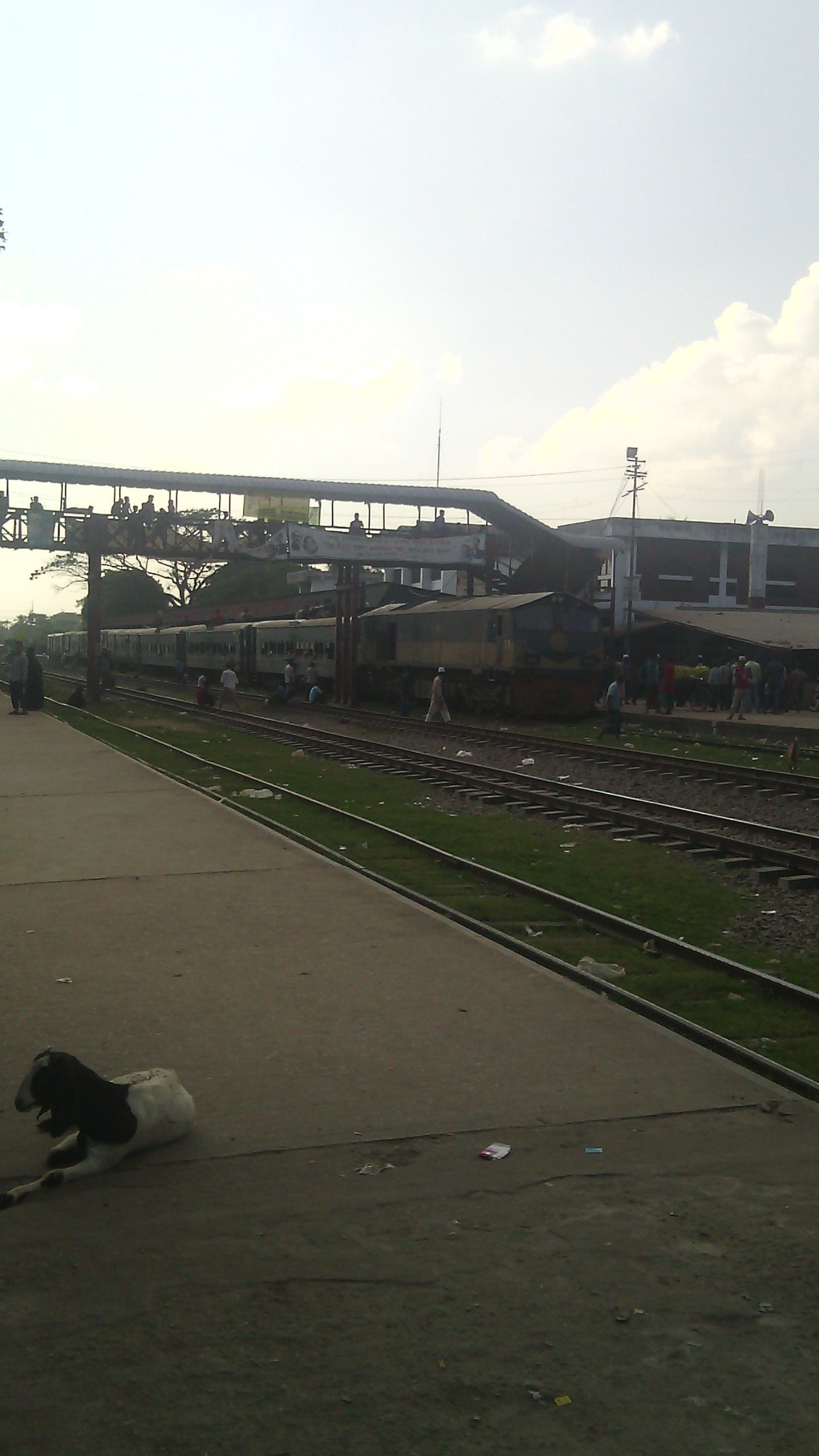 HanifFurkan's profile picture. 