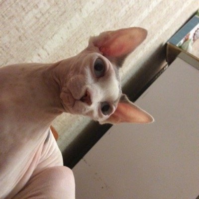 zhiganello10's profile picture. 