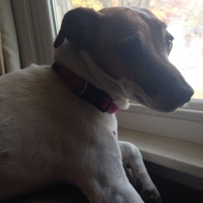 michael37125941's profile picture. 