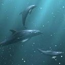 Nery Rodriguez - @Nery4248 - Twitter