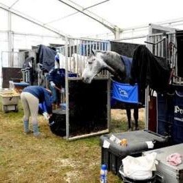 Dino153Dino's profile picture. 