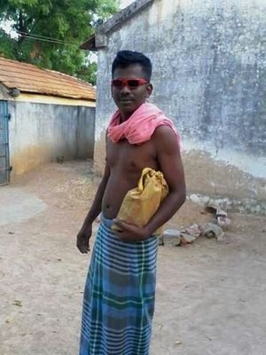சொரி நாய்களின் ரசிகன்
