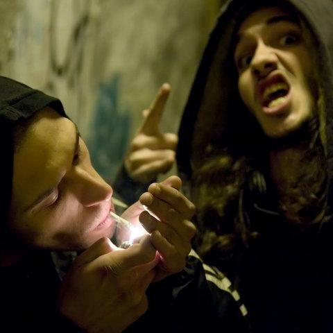 MC.PRODUCTOR