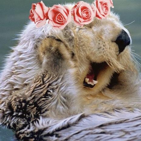 J'suis une loutre de mer, quand j'ai envie je dessine de la merde, je bois du thé et j'aime les lamantins.