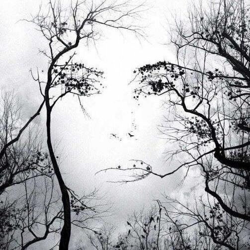 Heermughal00's profile picture. 