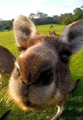 inconnu67's profile picture. 