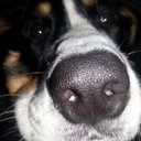 Caroline Blain - @cc99d76fa379481 - Twitter