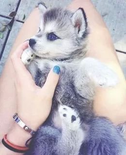❤