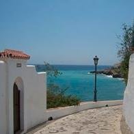 senoritawilson's profile picture. 