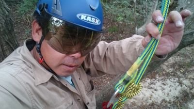 兵庫県の片田舎で植木屋やってます。出身は兵庫県芦屋市。ド都会からド田舎へのんびりロハス生活のはずが、毎日カツカツ。樹木医。兵庫県歴史文化遺産活用推進員。自然再生士。