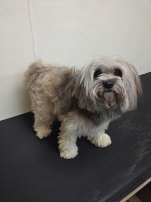 XycomLoL's profile picture. 