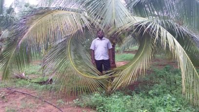 bavafarms's profile picture. 