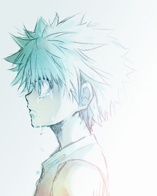 Mejor amigo de Gon, Cazador Profesional. He ayudado a salvar el mundo de las horribles Hormigas Quimera y cuido de mi hermana pequeña Alluka.