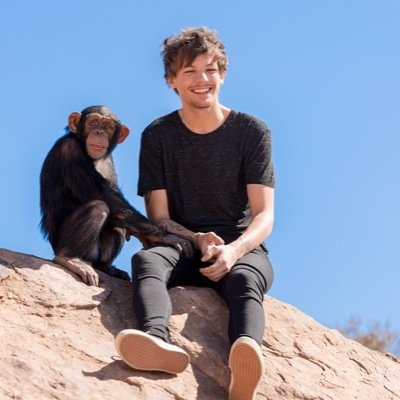 louisgirl56's profile picture. directioner x i saw the boys on 7.6.14 and seeing them again on 31.10.15.