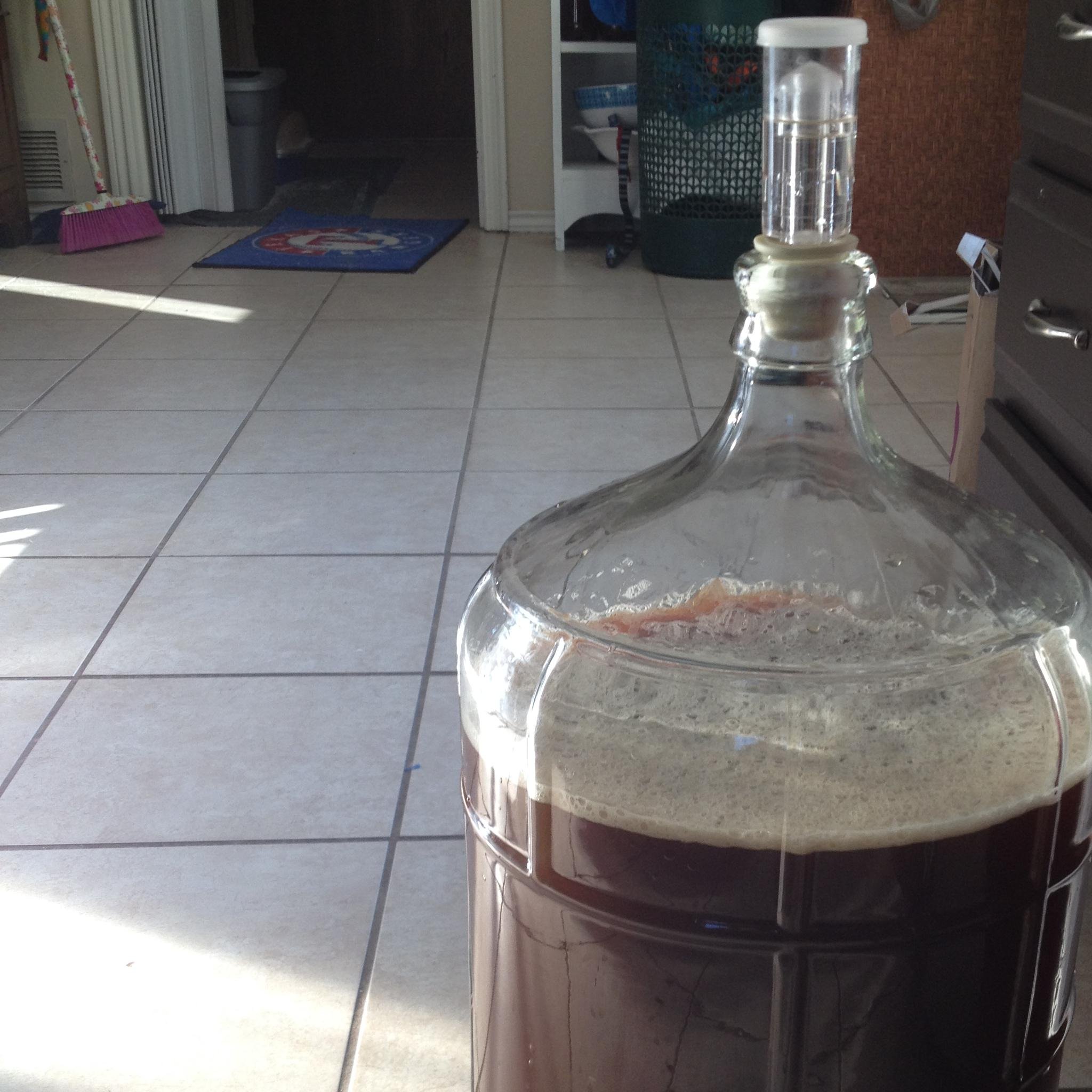 Brewing tasty beer, 5 gallons at a time!