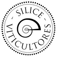 SiliceViticultores (@slcviticultores) 's Twitter Profile