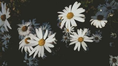 1helpmeplease1's profile picture. 