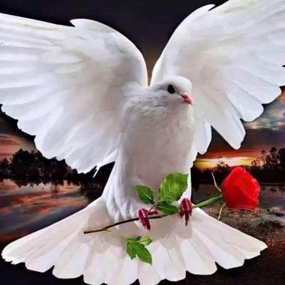 J'aime tout le monde sans exception....Attention:!!  -18 ans Préfférence d'éviter de me Follower Merci