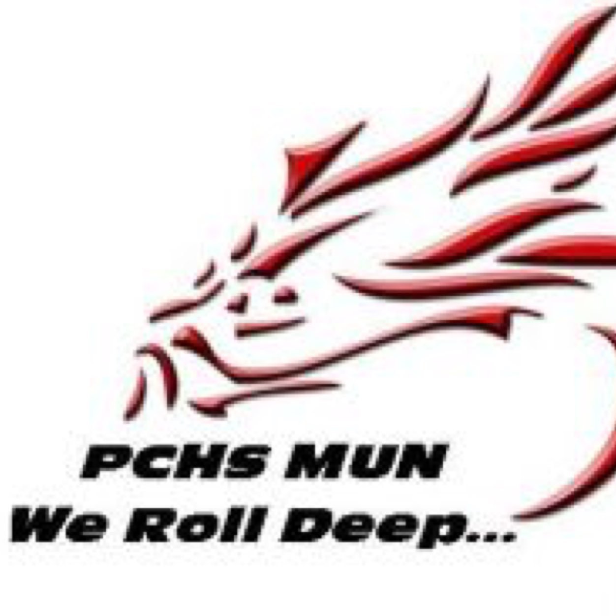 Port Charlotte High School Model United Nations Team—We Roll Deep!!!