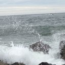 Susan Wescott - @WescottSusan - Twitter