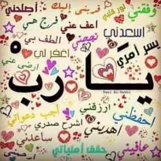 Nour_eleman0's profile picture. 