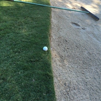 News_Watcher331's profile picture. 