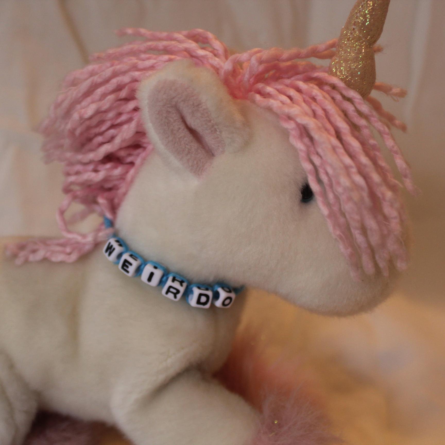 Ghost of the Unicorn specializes in irreverent, cheeky and sometimes inappropriate accessories. We love bad words, skulls and unicorns!