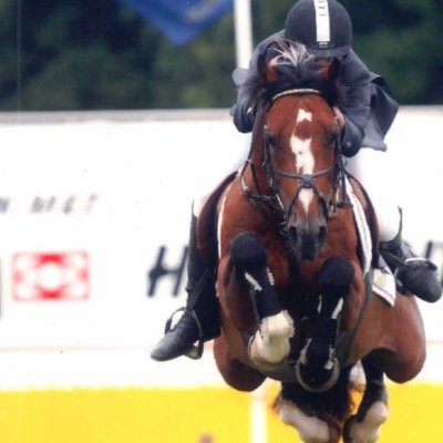 baysic horse account. #allabouthatbays