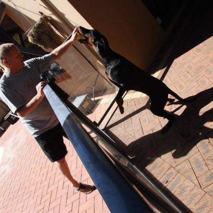 doncronk2's profile picture. 