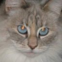 Gina Beam - @beam_gina - Twitter