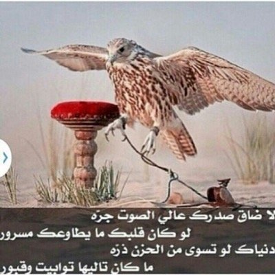 هو ﺎنت مثليء يتعبک وقتک بدونيء