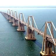 Maracaiberos's profile picture. Zulia