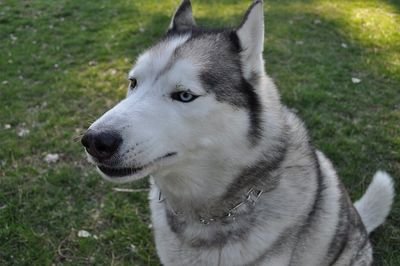 4everbrokennn's profile picture. just your normal 18 year old. Dont treat a girl wrong no matter how mean she is!!!