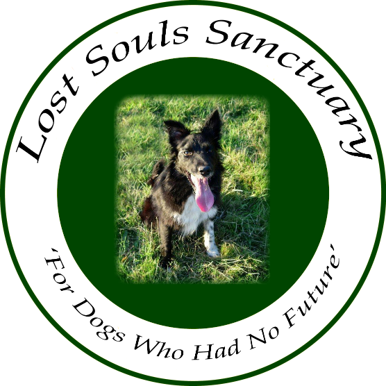 LSS is registered with HMRC as a small charity ref.noXT30963 Anne Lewis is a qualified behaviourist who cares for traumatised & neglected dogs.