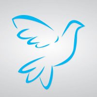 Freebird Agency (@freebirdpro) 's Twitter Profile