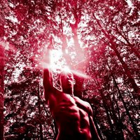 Trinity de Guzman (@trinitydeguzman) 's Twitter Profile