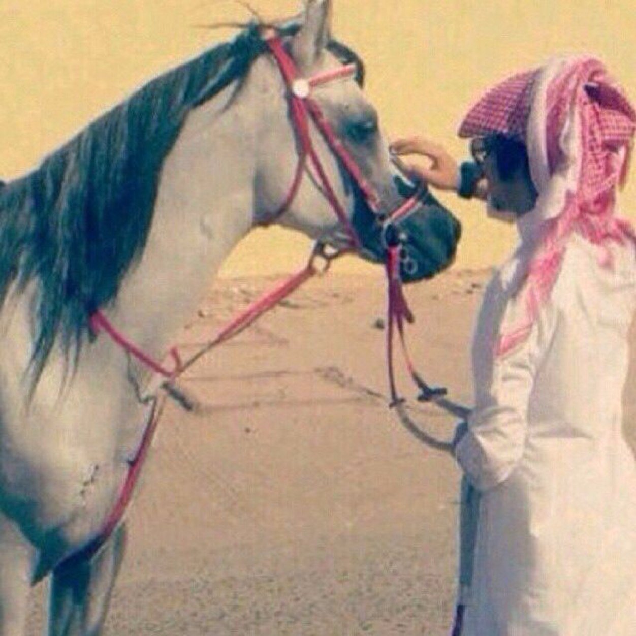 ذوي عطيه ي ردي العزايم/ هل المهار الي على الموت عزام / على ظهور معالكات الشكايم/ كم سربتن  خلو مراضيعها  ايتام