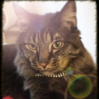 lorilrutledge's profile picture. 