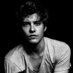 Riley Biers. (@hertool) Twitter profile photo